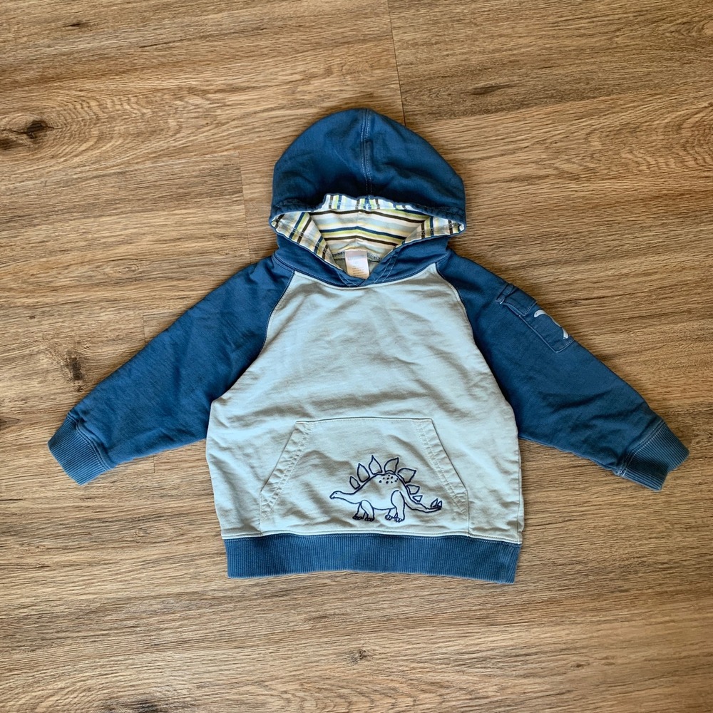 Gymboree Boys 2T Blue Stegosaurus Dinosaur Raglan Pullover Hoodie